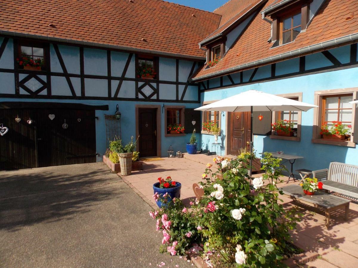 Le Gite Bleu Willgottheim Exterior foto